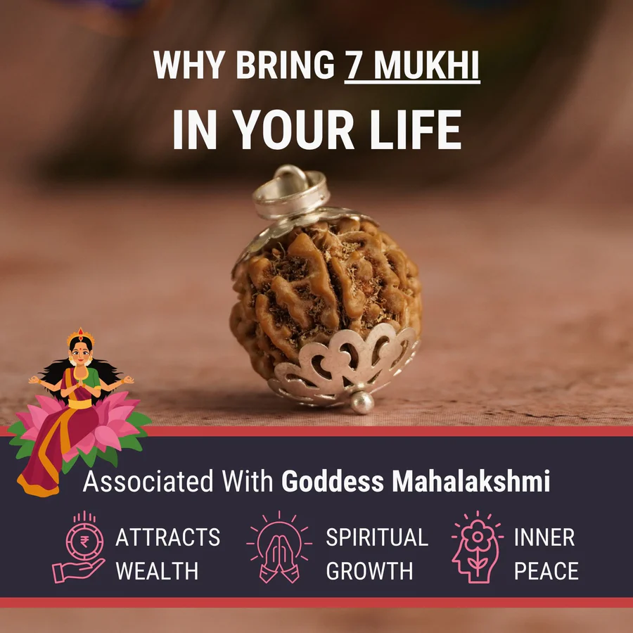 7 Mukhi Nepali Rudraksha Saat Mukhi
