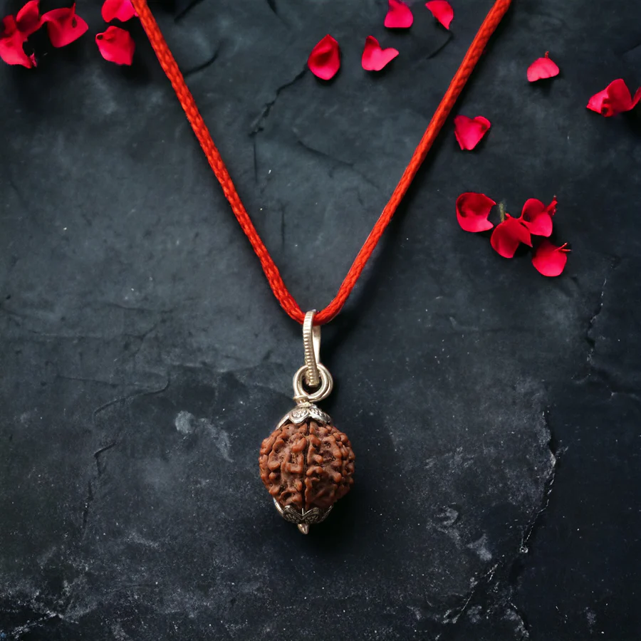 7 Mukhi Nepali Rudraksha Saat Mukhi image 3